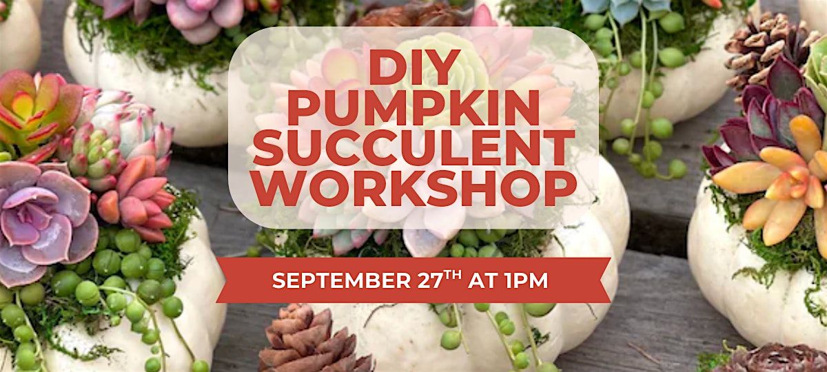 DIY Pumpkin Succulent Workshop