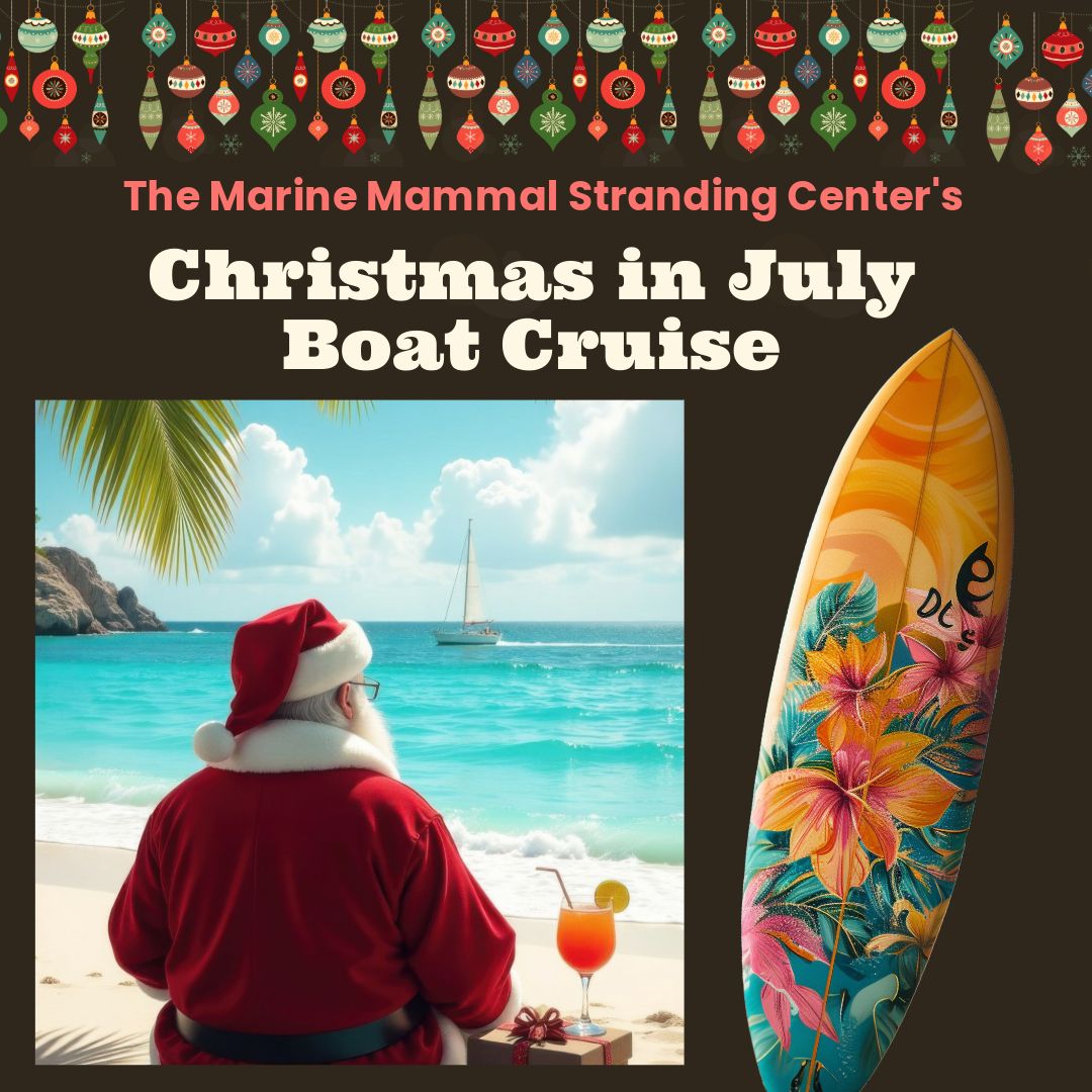 Christmas In July  Boat Cruise