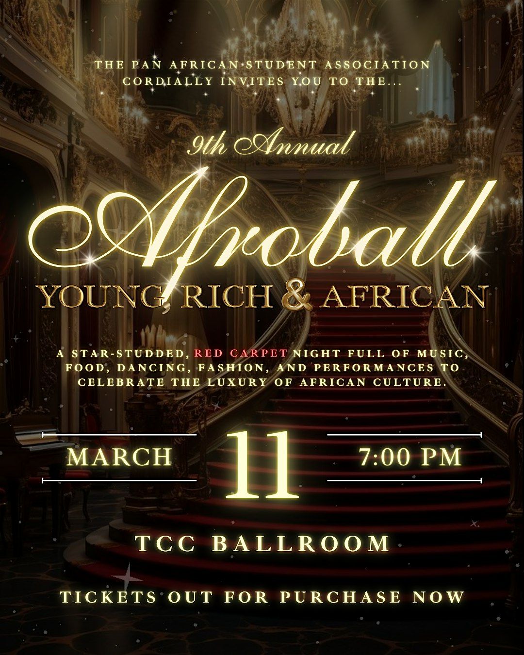 AfroBall 2025: Young, Rich & African