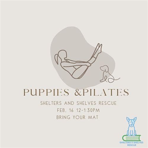 Puppies and Pilates adoption event