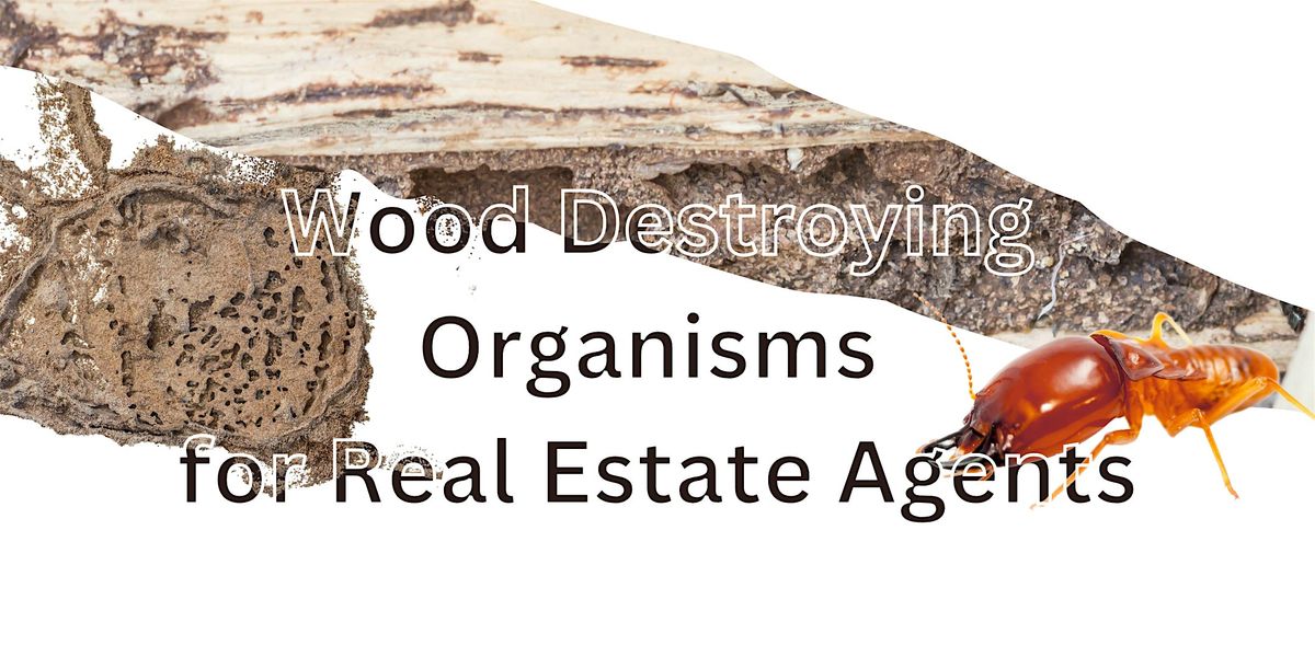 Wood Destroying Organisms for Real Estate Agents