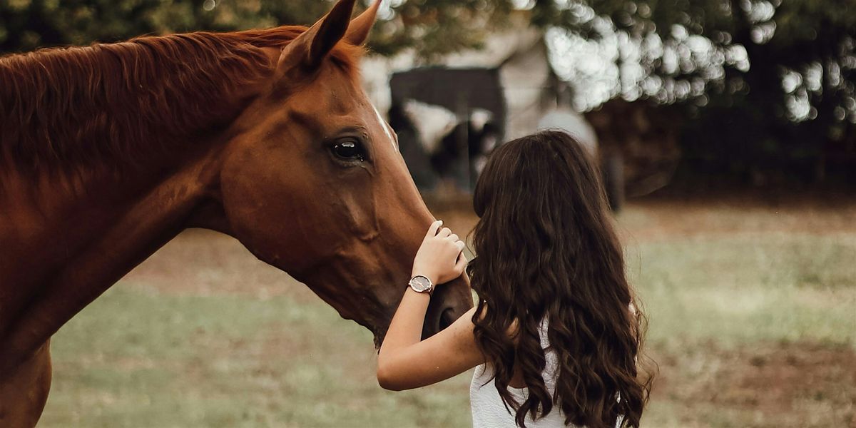 Resiliency Wranglers Introduction - (Series 2)