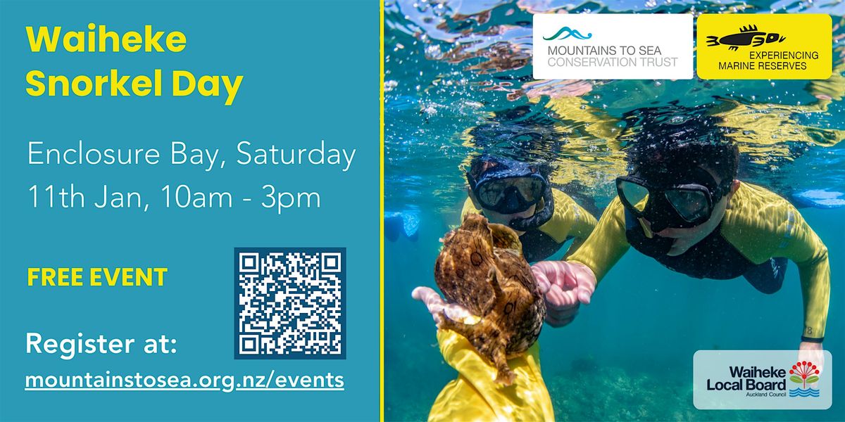 Waiheke Snorkel Day