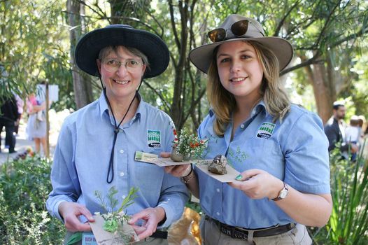 Nature Play 4 6yrs Collect Craft Ku Ring Gai Wildflower Garden Sydney 21 April 21