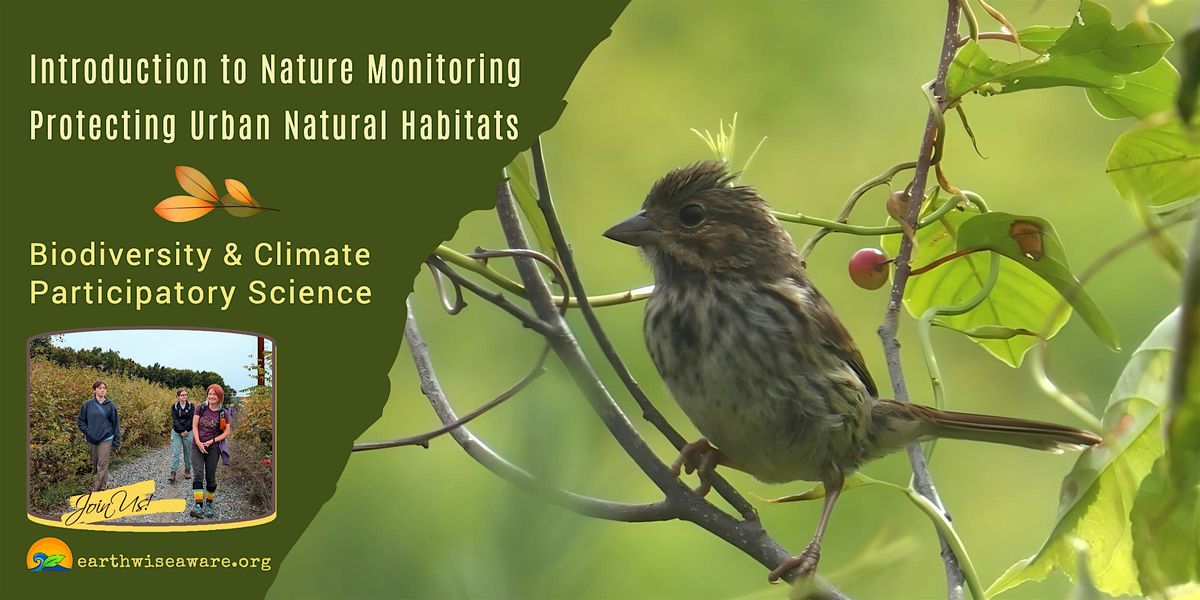 Introduction to Nature Monitoring in the City