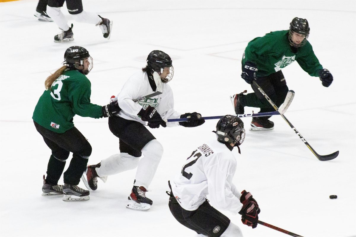 East vs. West Charity Hockey Game 2025