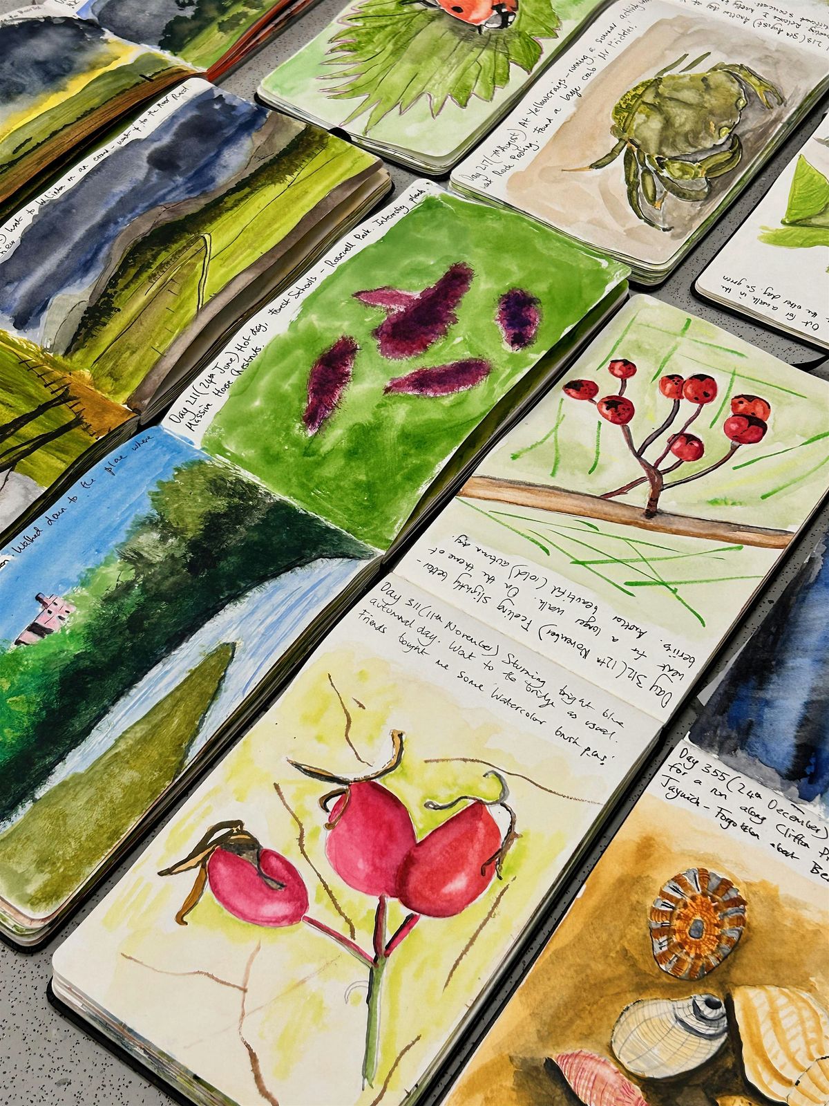 Day 811 - Nature Journaling - art show