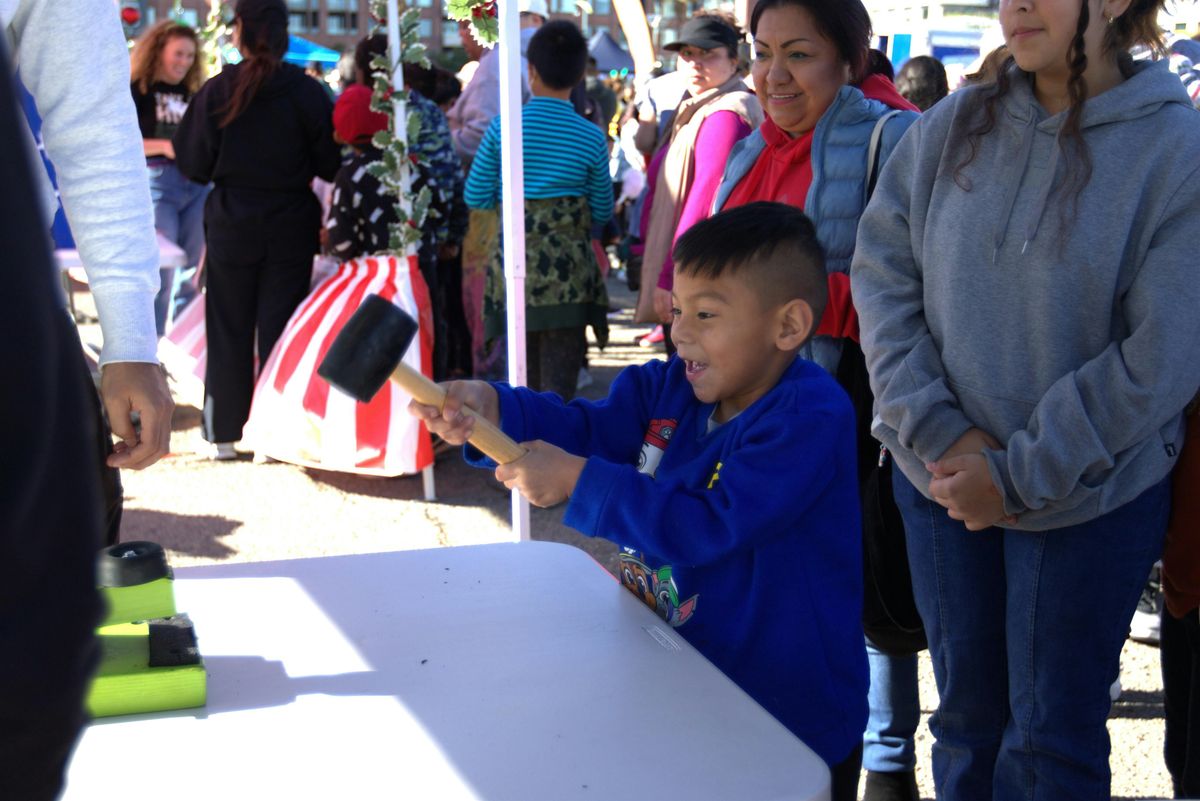 Fair Oaks Family Fun Day!