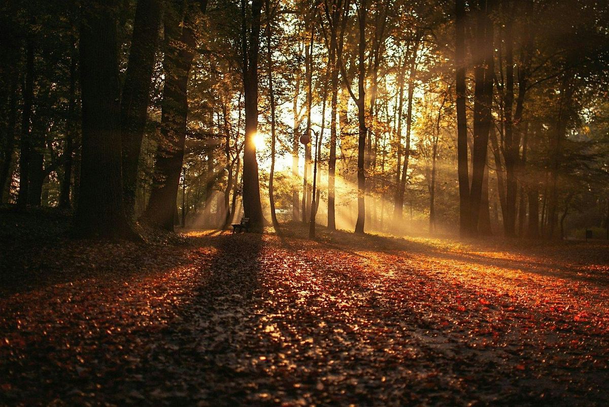 SAMHAIN MANIFESTATION DAY RETREAT