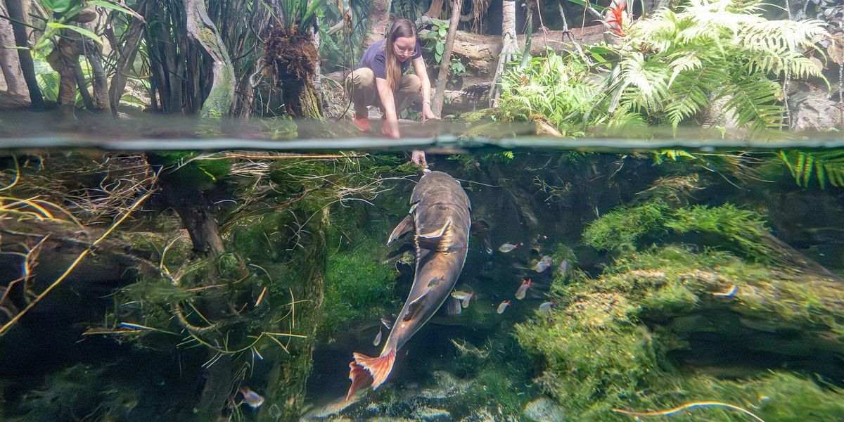 Aquarium Career Exploration Day