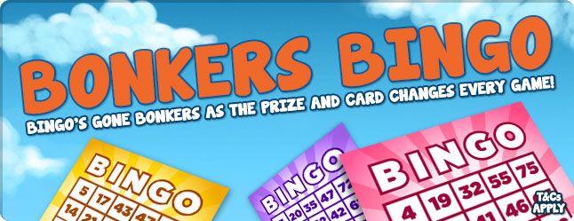 BONKERS BINGO ( BACK TO SCHOOL DAYS )fancy dress 