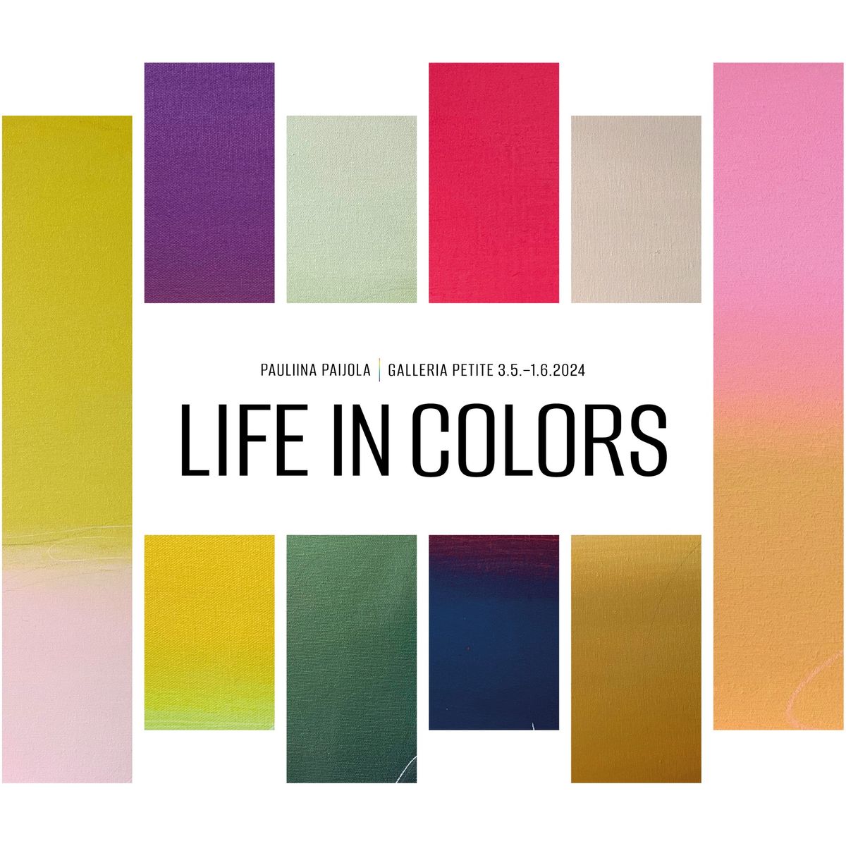 Life in Colors
