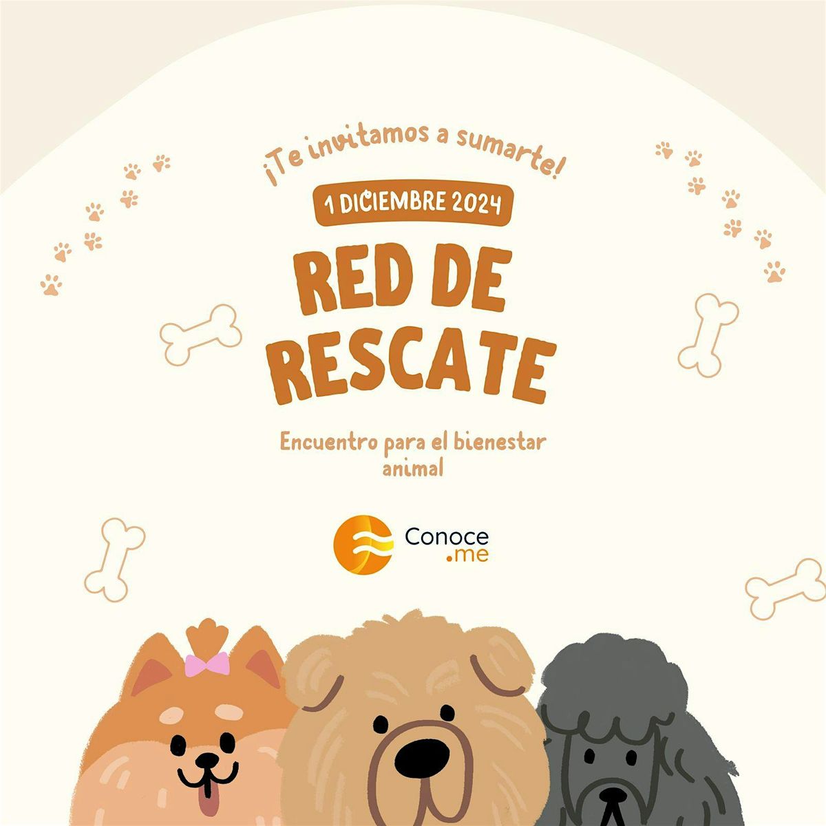 Red de Rescate: Encuentro para el Bienestar Animal