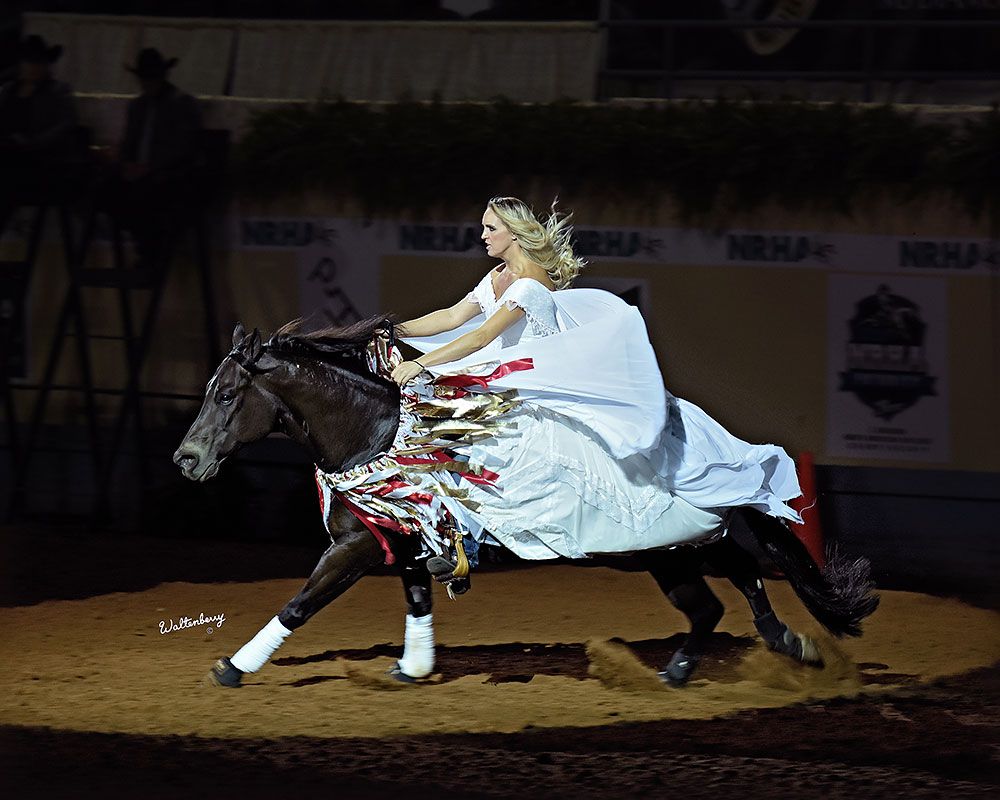 National Reining Horse Association - Freestyle