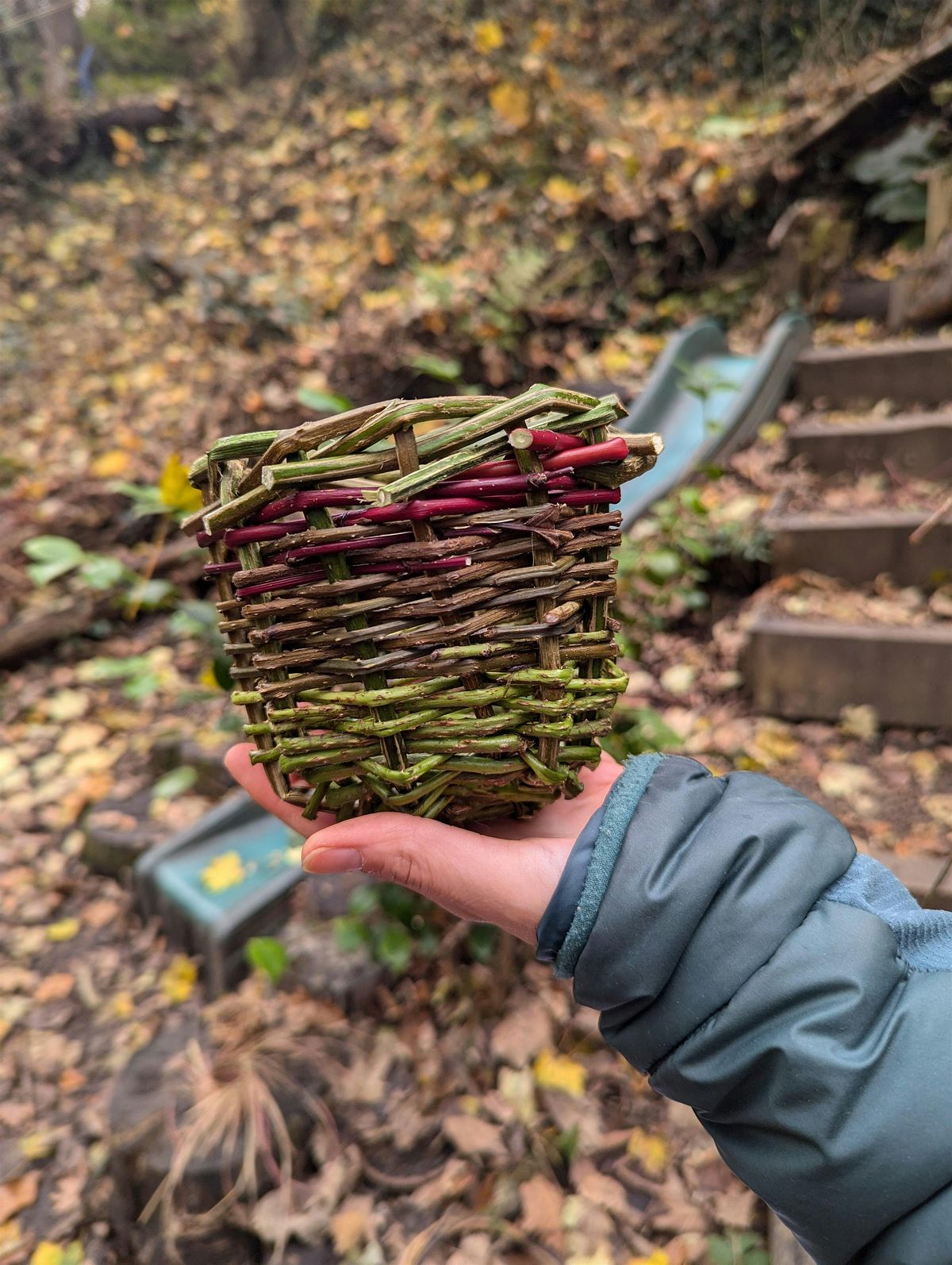 Wild baskets