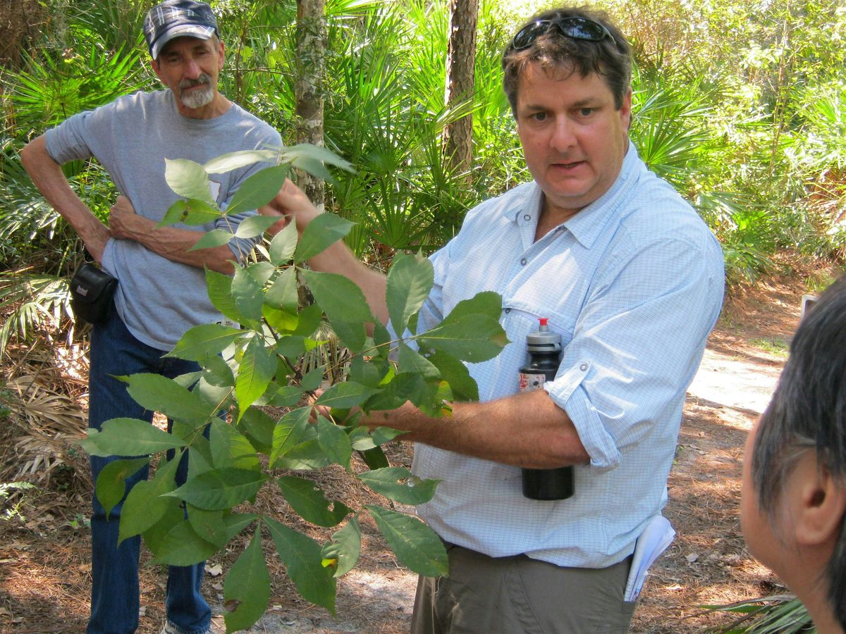 Florida Land Steward Field Day: Forest Plant Identification