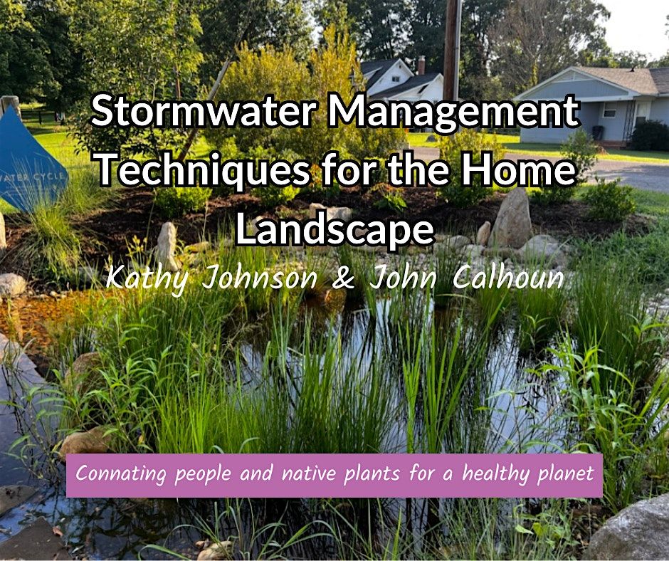 Stormwater Management Techniques for the Home Landscape