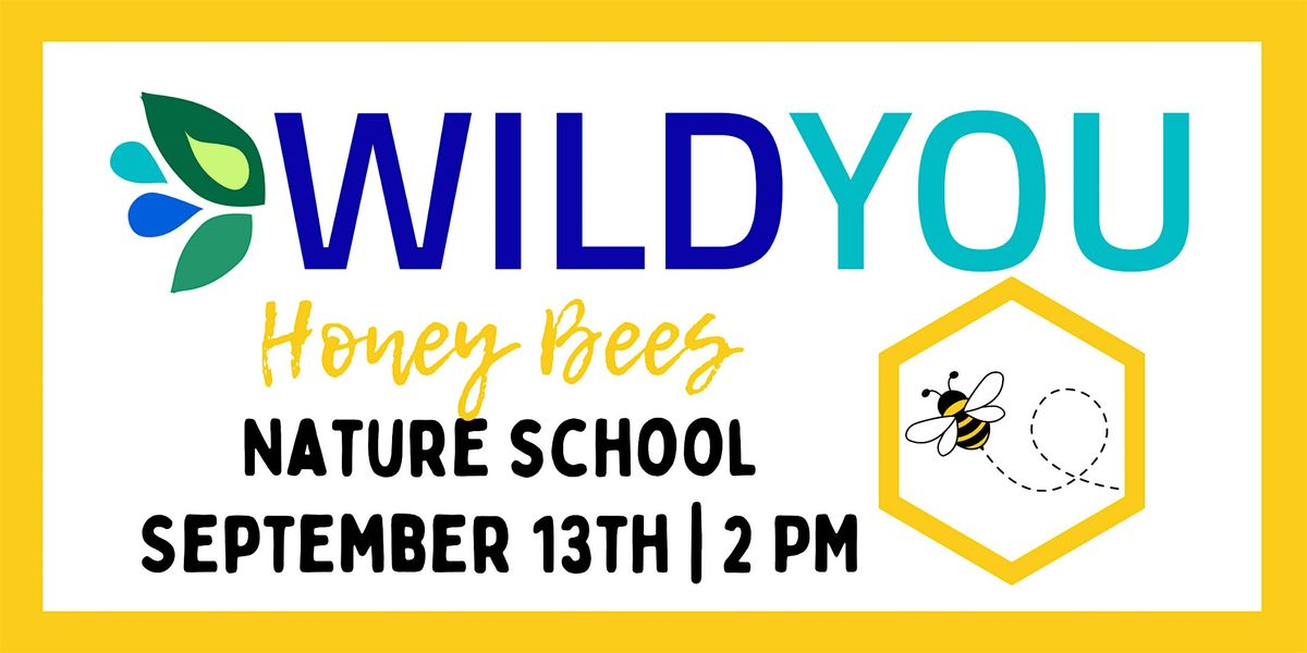 Nature School: Honey Bees