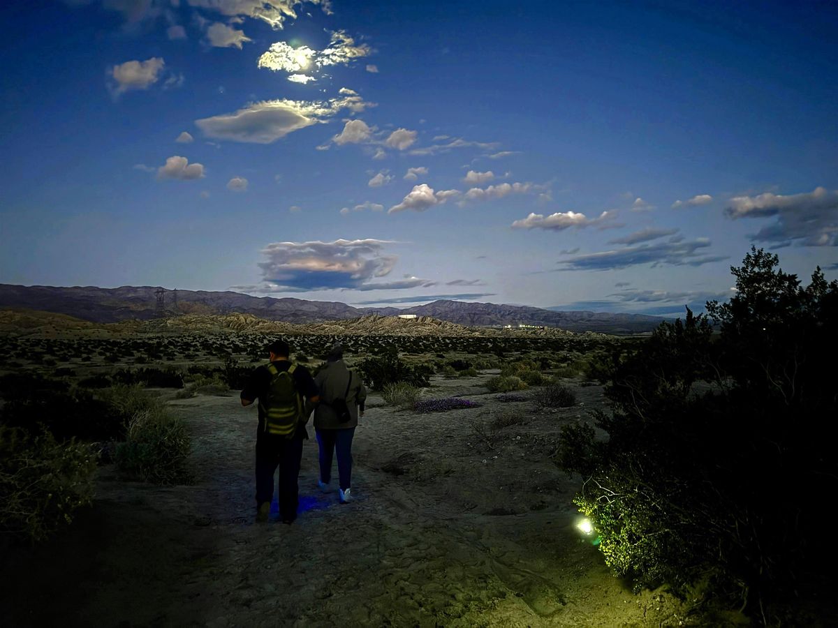 Indio Badlands Trail Full Moon Hike - 7:45p Group