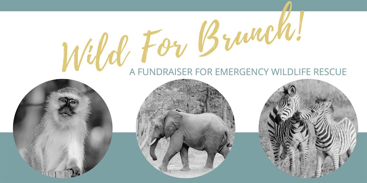 Wild for Brunch!