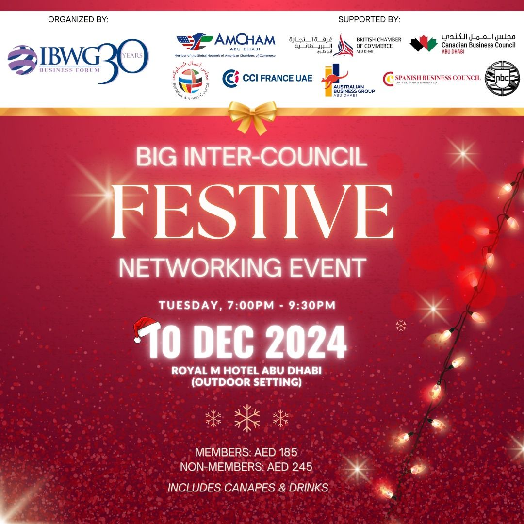 Big Inter-Council Festive Networking