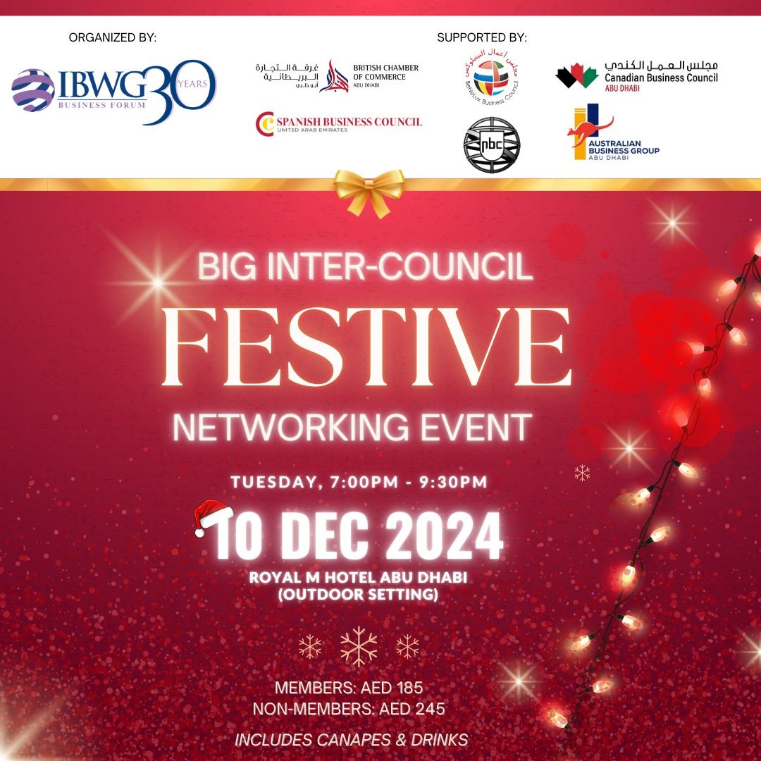 Big Inter-Council Festive Networking