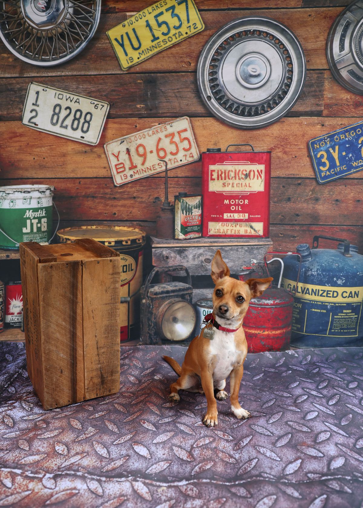 Rover\u2019s Repair Shop & Vintage Dogs Pet Portraits!