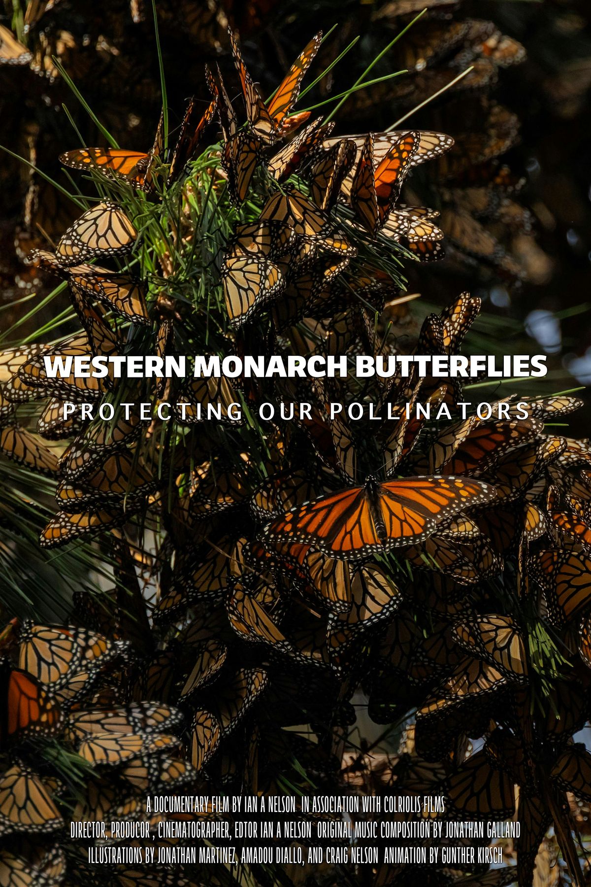 Western Monarch Butterflies: Screening & Community