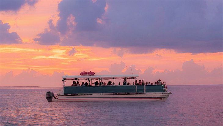 Sunset Dolphin Tour for Christian Singles $47.65\/ticket through Viator