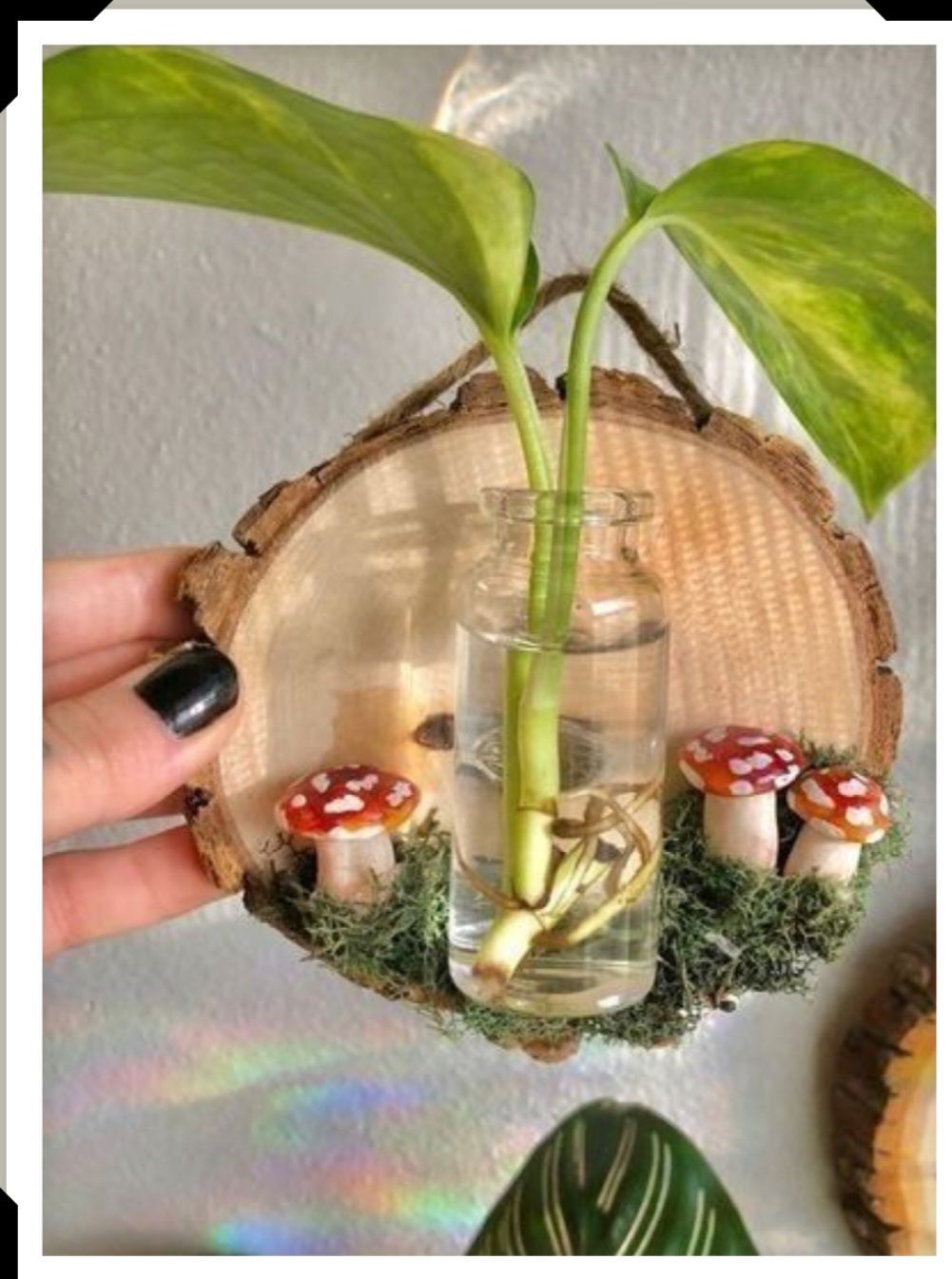 Rustic Plant Propagation Craft