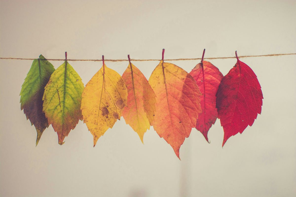 Fall Victim Law Gathering