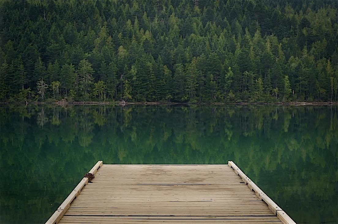 Emotional Regulation - The Key to Optimal Wellness