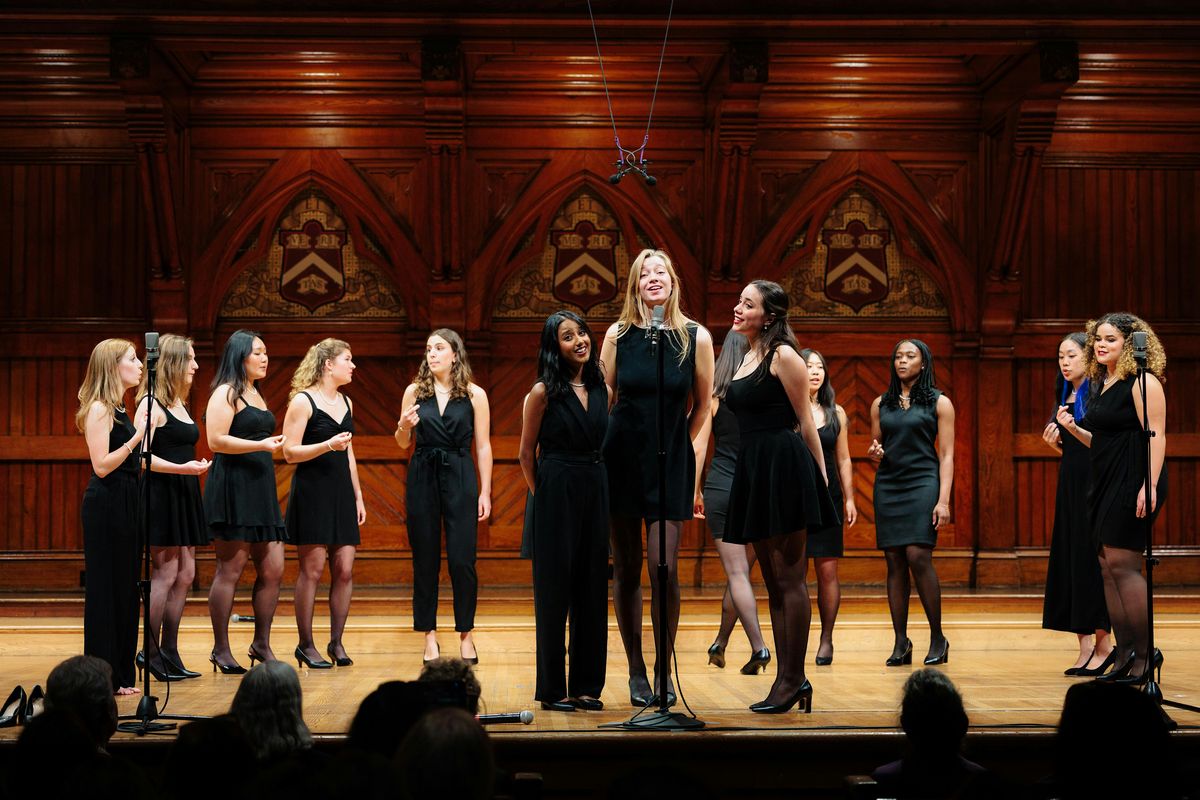 Harvard A Cappella Jam - The Radcliffe Pitches, Din and Tonics, and more!