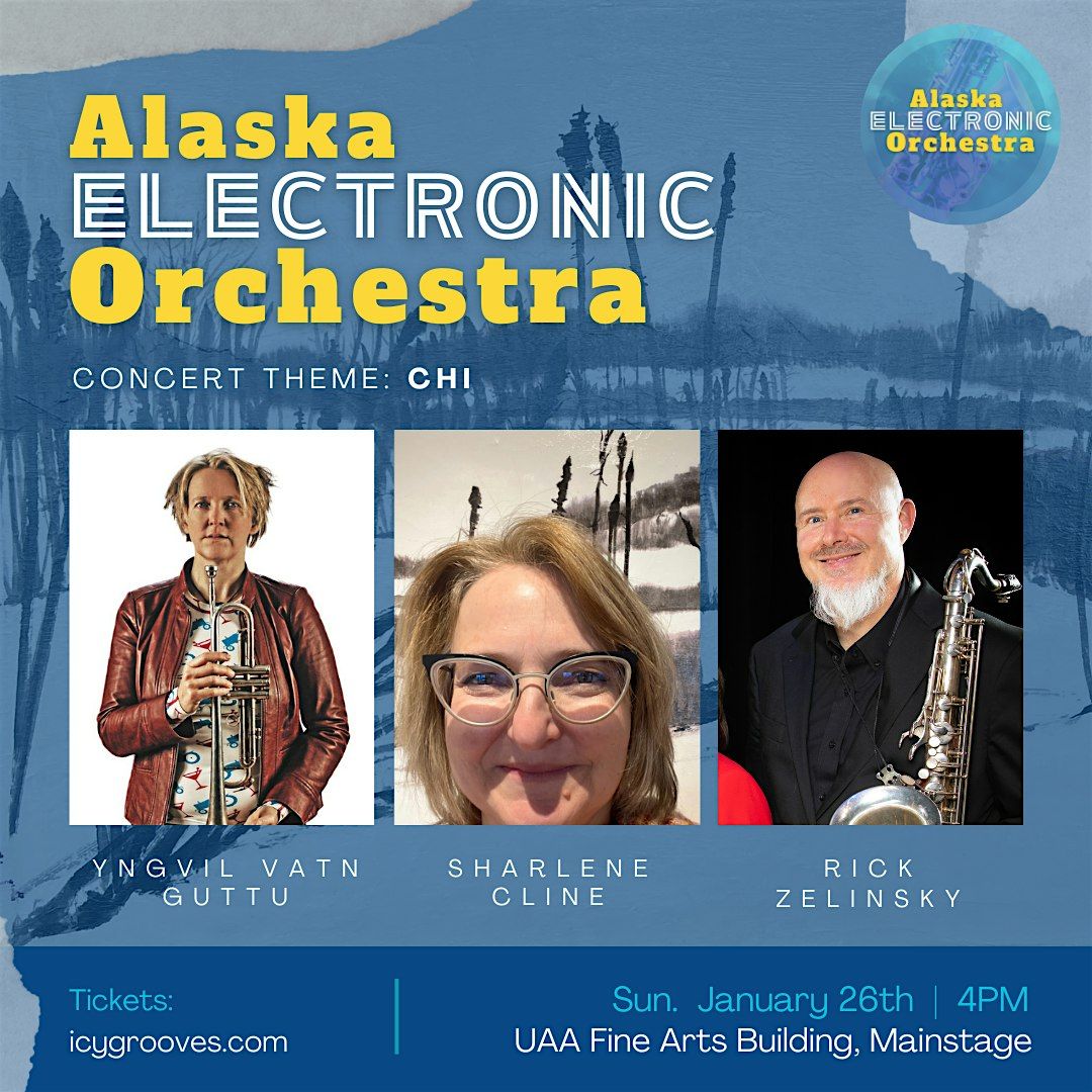 Alaska Electronic Orchestra Concert "Chi" Live Music & Visual Art Together