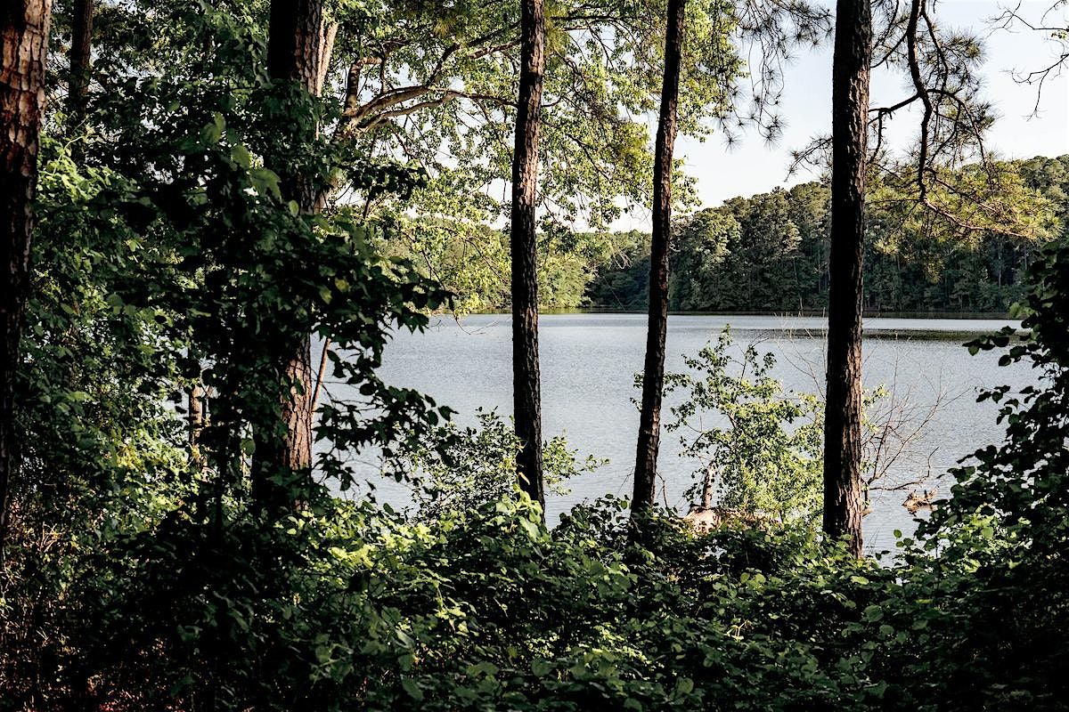 Poetry in the Wetlands: Writing for Future Public Art