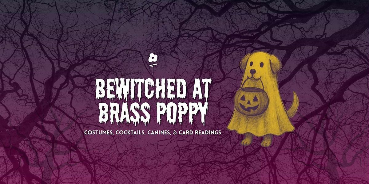 Bewitched at Brass Poppy