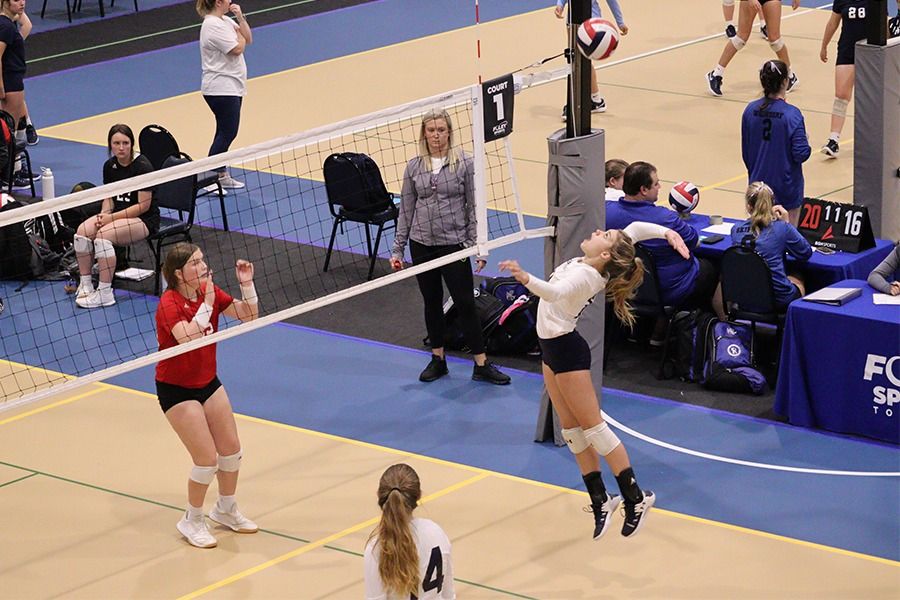 Dual Ribbon Cutting Paris Ace Hardware Foley, Paris Ace Hardware