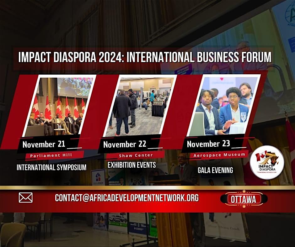 Impact Diaspora Youth 2024-Africa Development Network