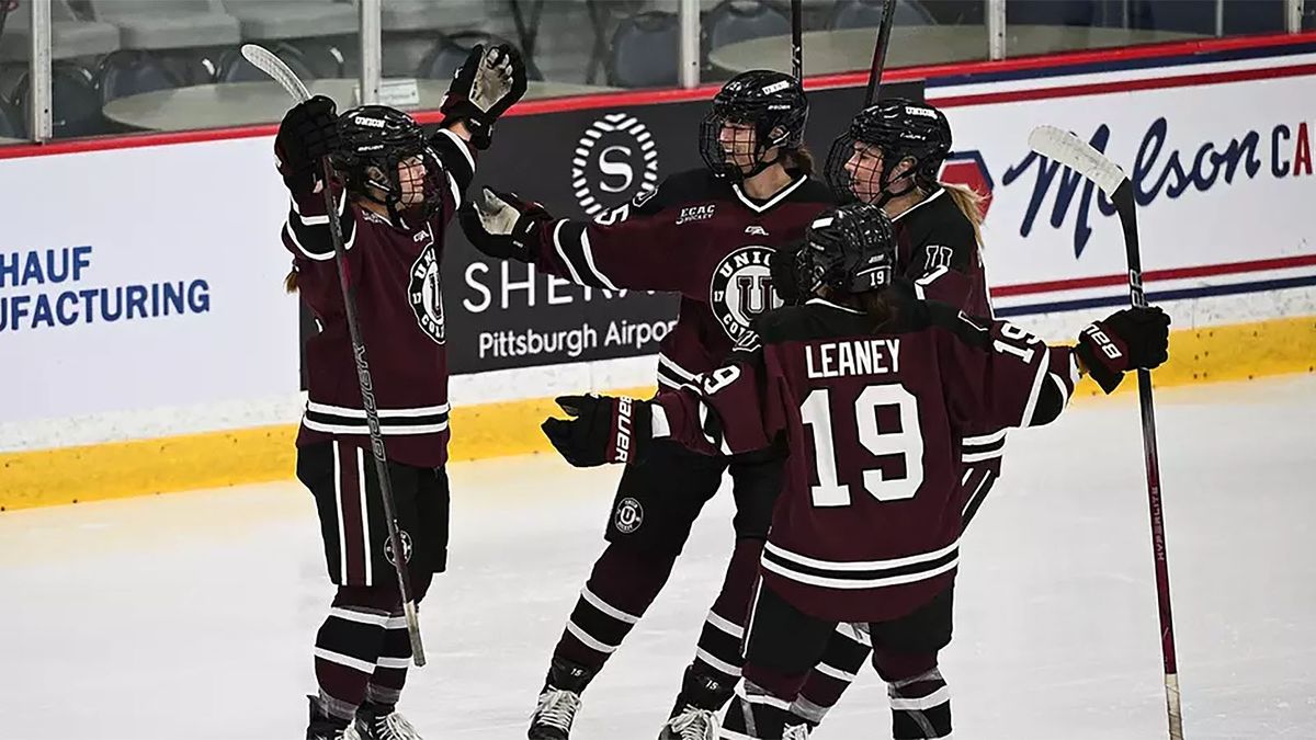 St Lawrence Saints at Union College Garnet Chargers Mens Hockey at M and T Bank Center Schenectady