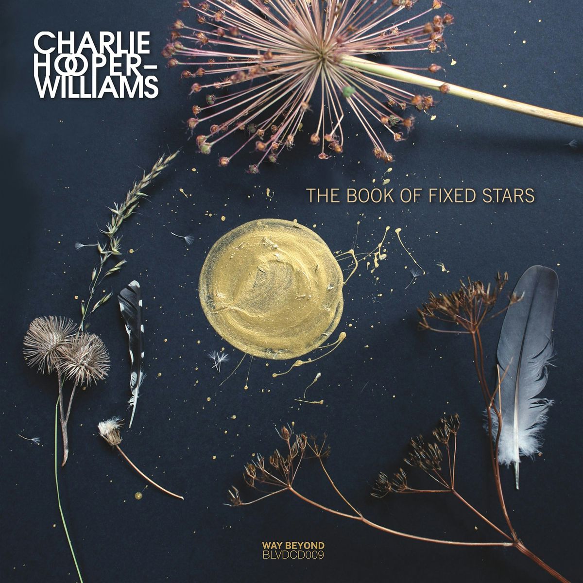 Album Launch Party \u2014 Charlie Hooper-Williams