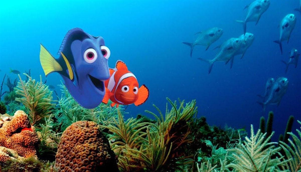 FINDING NEMO, 28 - 30 Oct  2025, AGES 5-8 (\u00a3160)