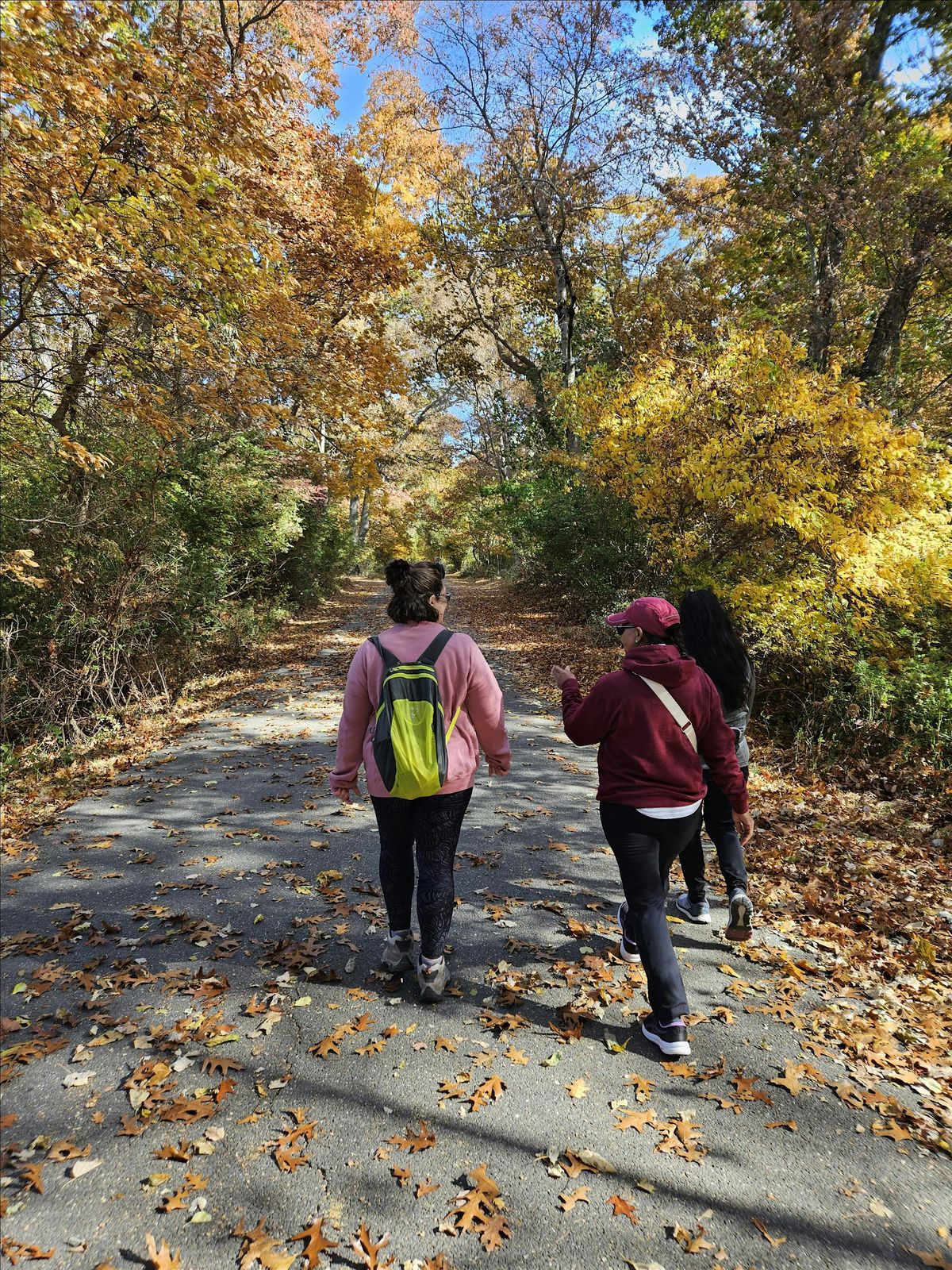 Tranquil Trails: Mill Pond Park & Adam D. Rand Memorial Trail