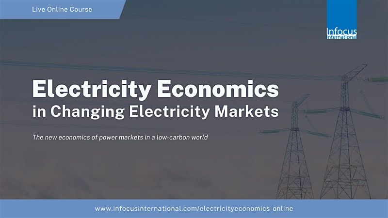 Electricity Economics in Changing Electricity Markets - May 2025