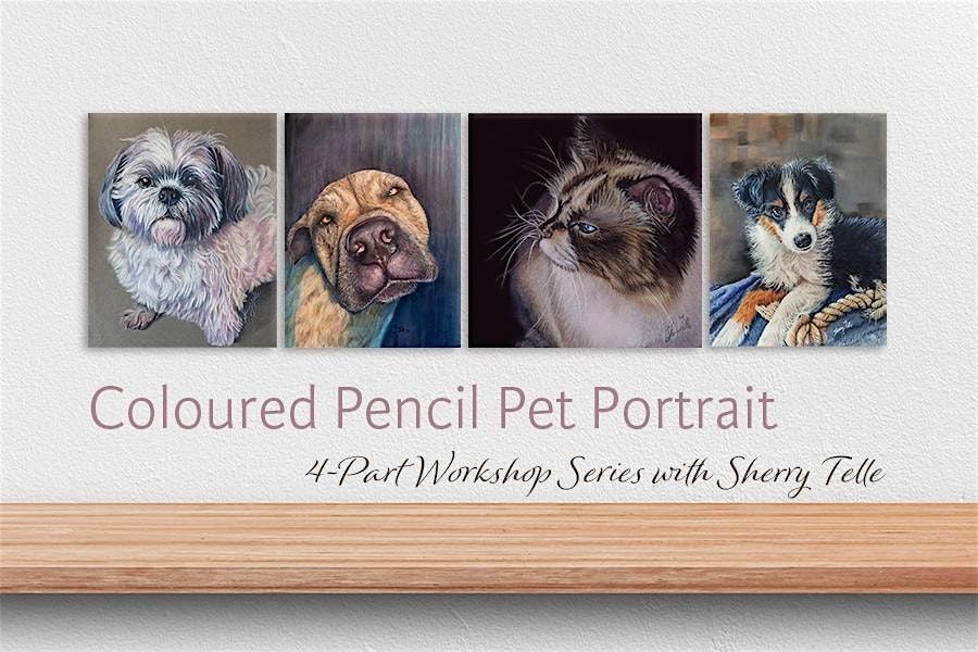 4 part Coloured pencil Pet Portrait workshop