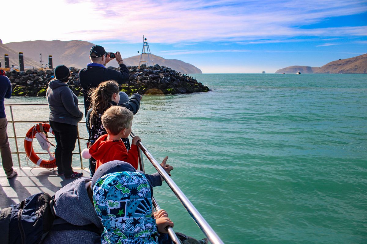 Know Your Place - Lyttelton Discovery Cruise