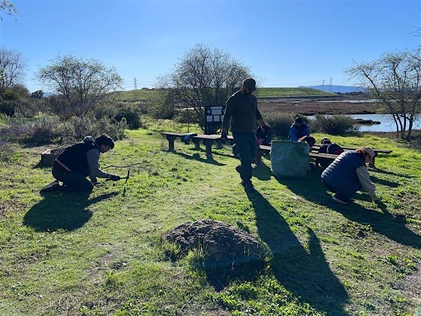 Earth Month Volunteer  Work Day at the EEC