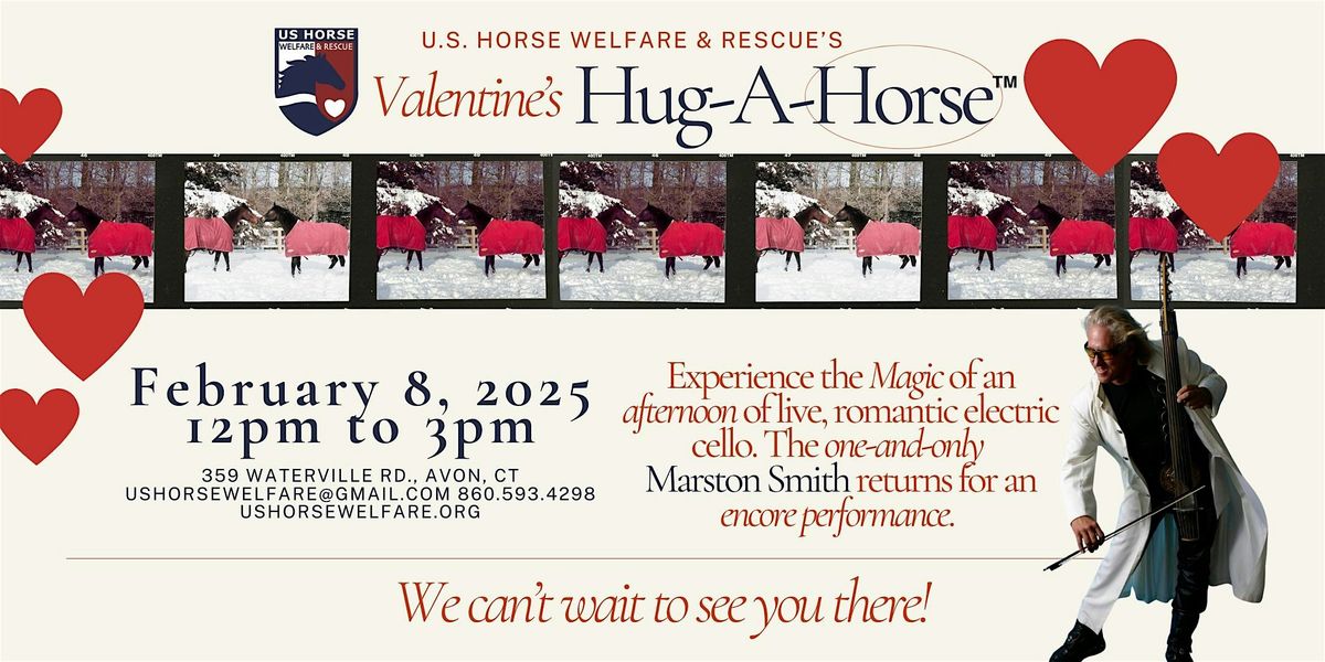 Valentine Hug A Horse, Feel the Love!