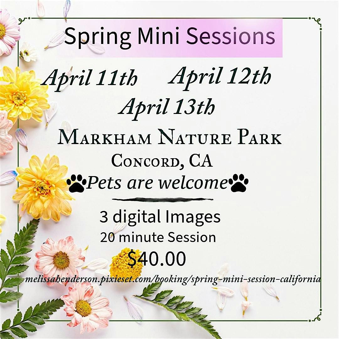 Spring Mini Session