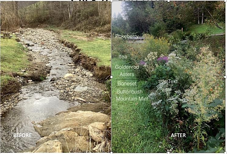 Streambank Restoration Series Field Experience