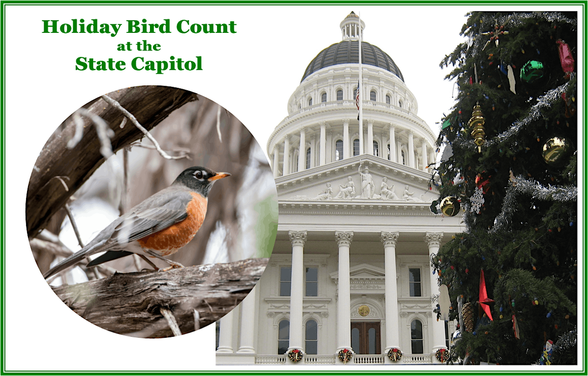 Holiday Bird Count at the State Capitol